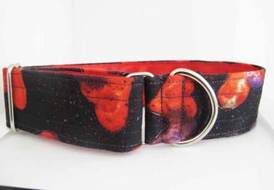 Red Satin Lined Valentino Cotton House Collar